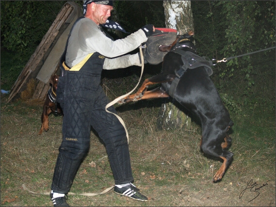 Summer training camp - Jelenec - 2007